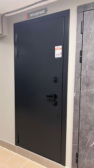 Входная дверь  